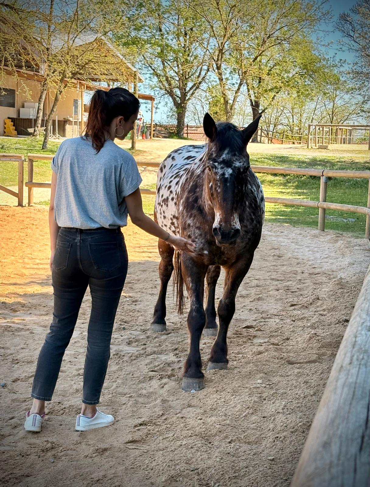 Séance individuelle d'équicoaching, main et cheval